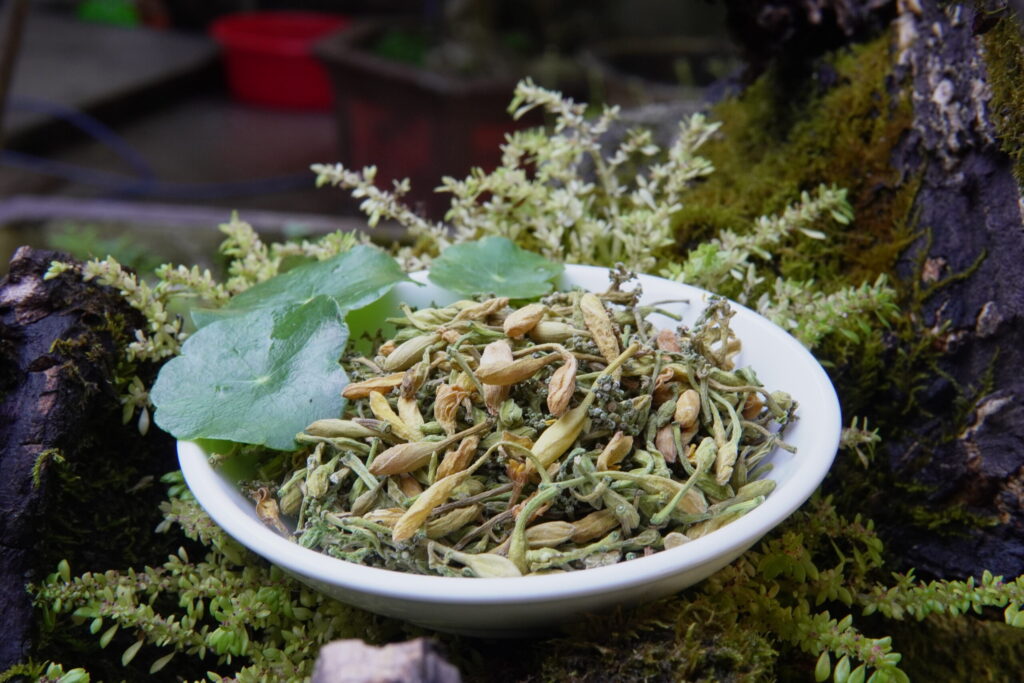 Trà Hoa Đu Đủ Đực | Papaya Flower Tea