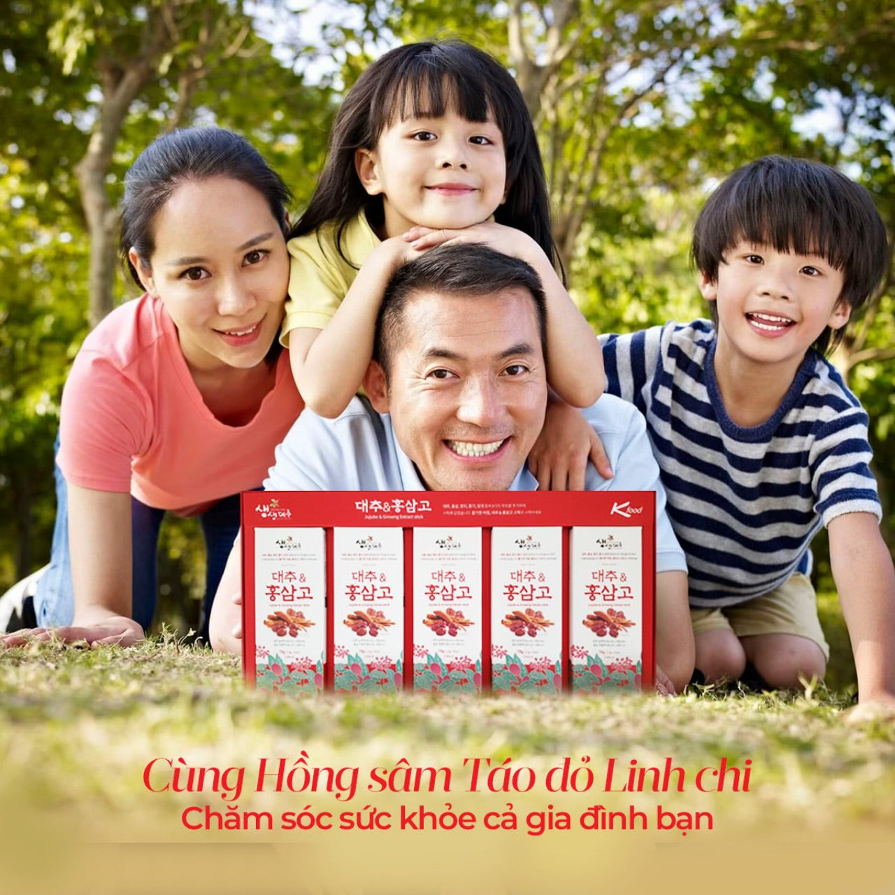 Hồng Sâm Linh Chi Táo Đỏ Hàn Quốc