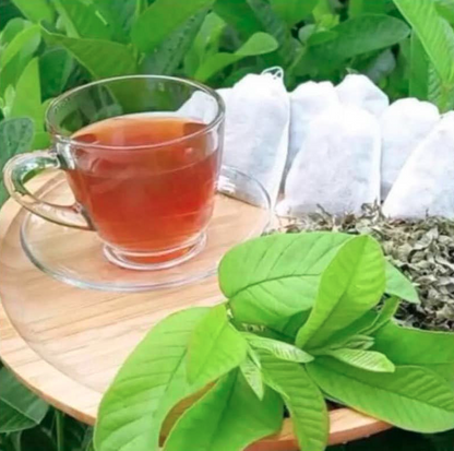 Trà Lá Ổi Giảm Cân 150g (10 Túi Lọc)