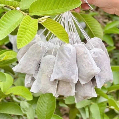 Trà Lá Ổi Giảm Cân 150g (10 Túi Lọc)