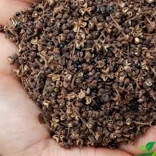 Hạt Mắc Khén 75g