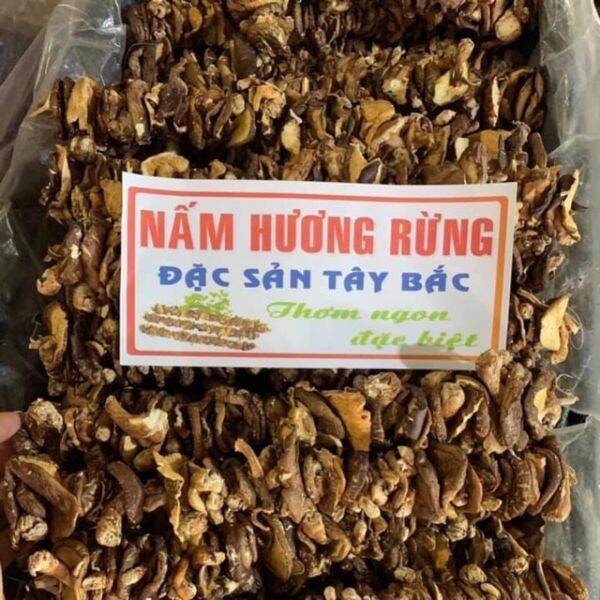 Nấm Hương Rừng Xâu 500g