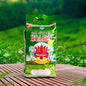 Trà Sâm Dứa