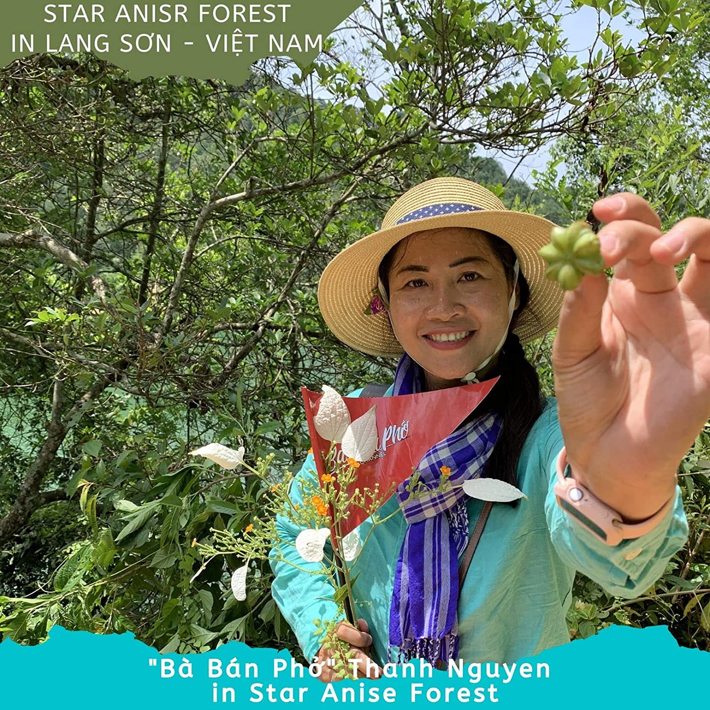 [HT] Hoa hồi